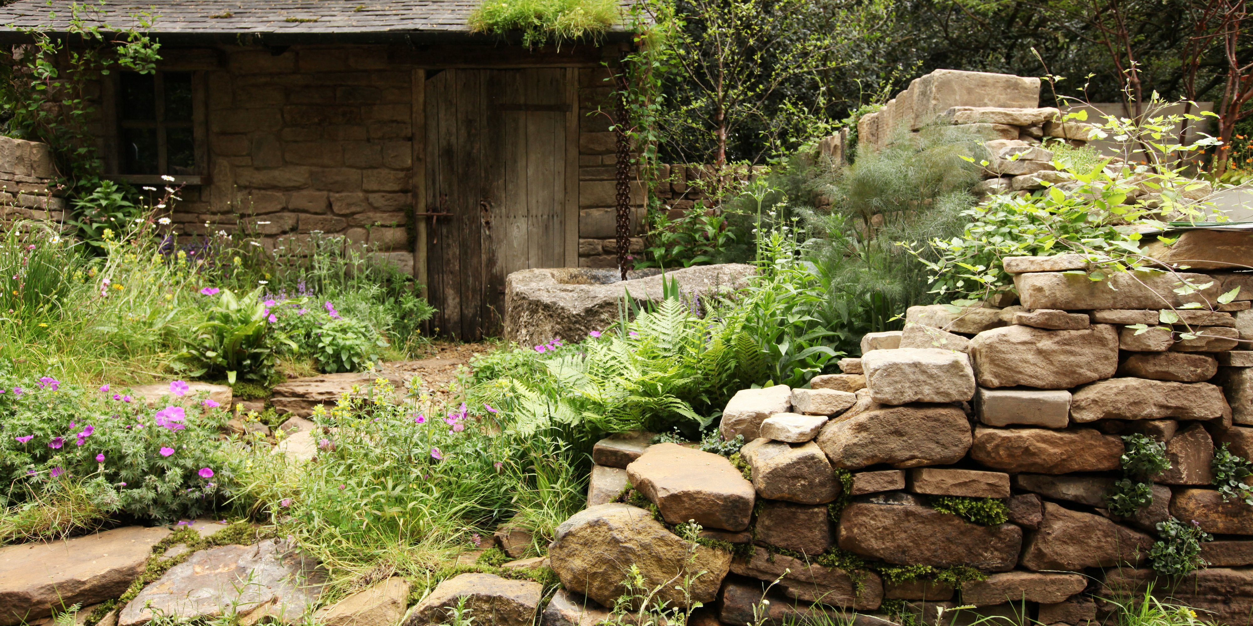 Jardin avant transformation