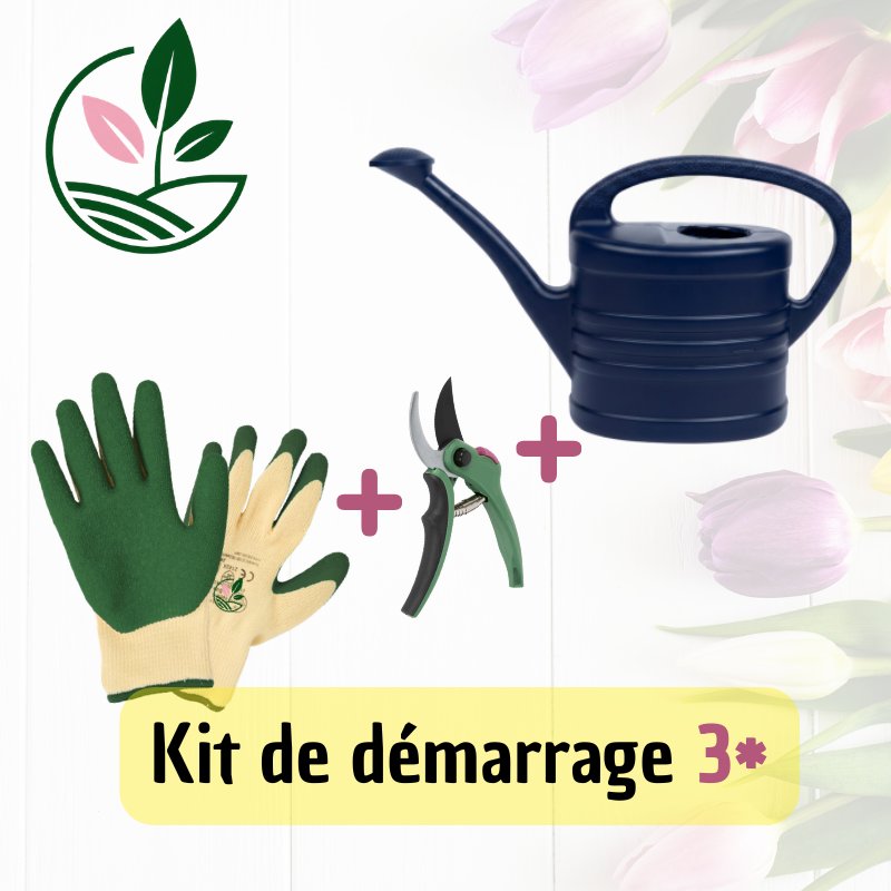 Kit Démarrage